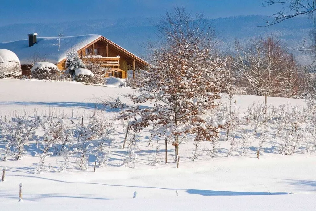 48316-Nicht zugeordnet