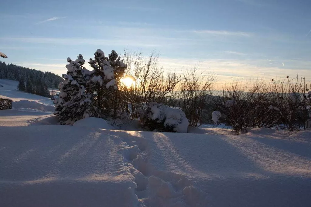 55062-Nicht zugeordnet