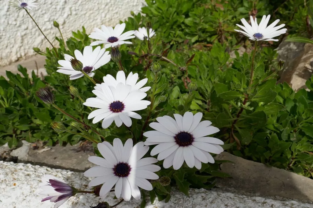 452041-Nicht zugeordnet