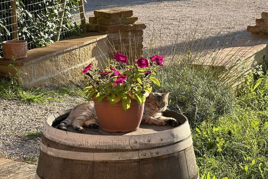 539347-Nicht zugeordnet