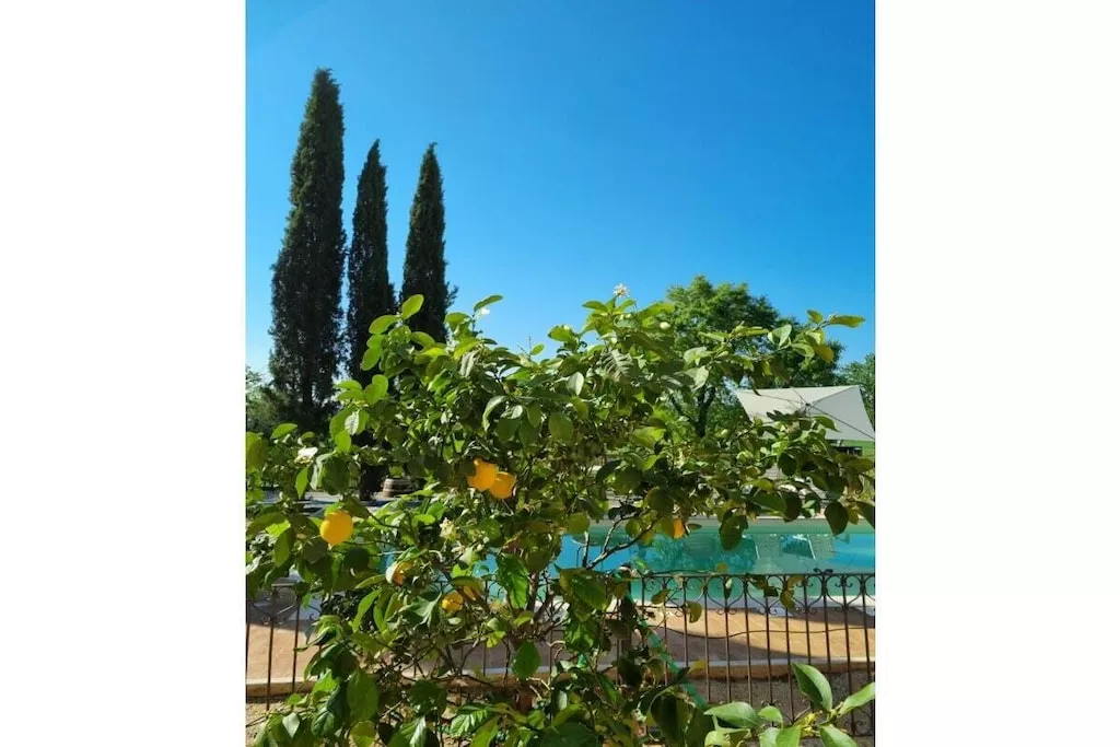 539355-Nicht zugeordnet