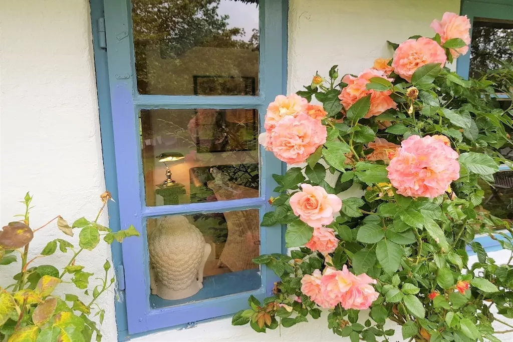 254976-Nicht zugeordnet