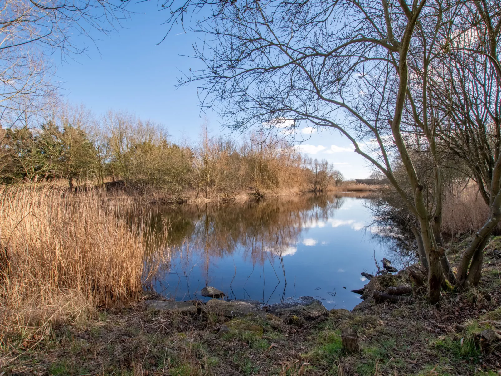 Hazel Rose Cottage-Dehors