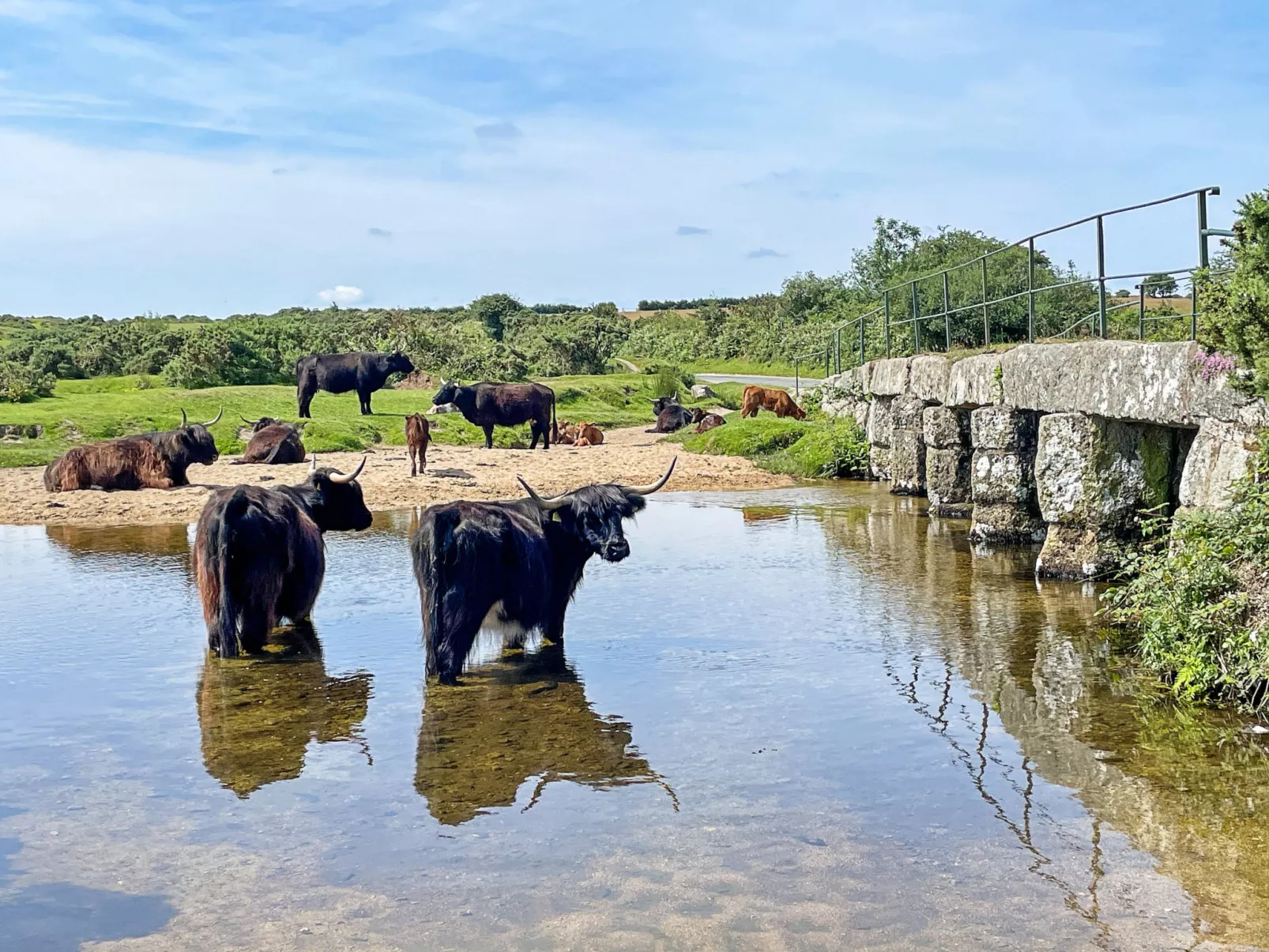 Stable Barn Apartment at Bodmin Moor-Dehors