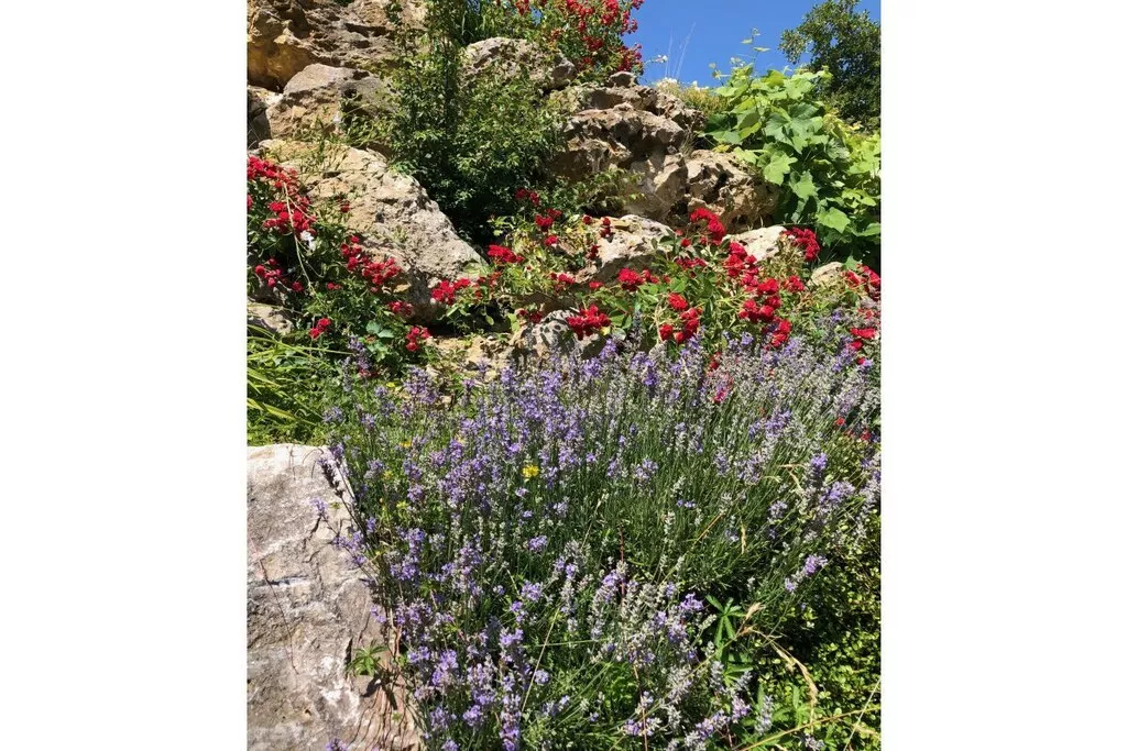 64455-Nicht zugeordnet