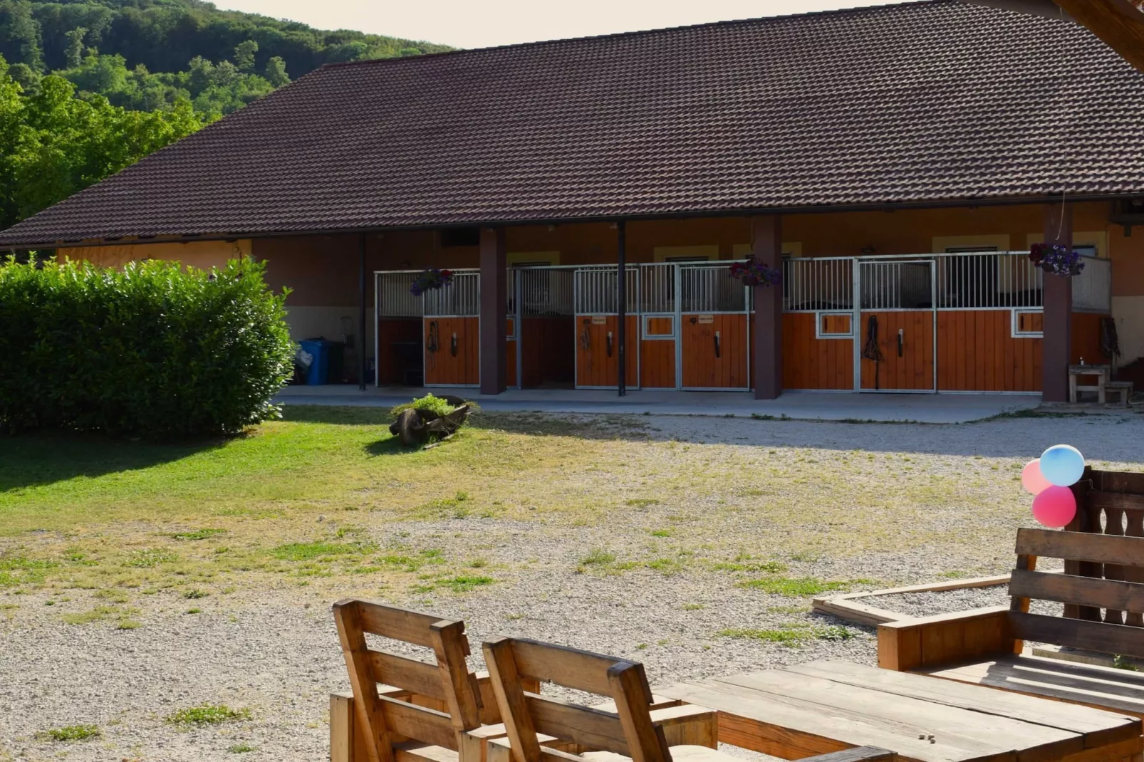 Zevnik Quiet Retreat with Stunning Views and Equestrian Activities  - Double Room with Private Bathroom-Outdoor