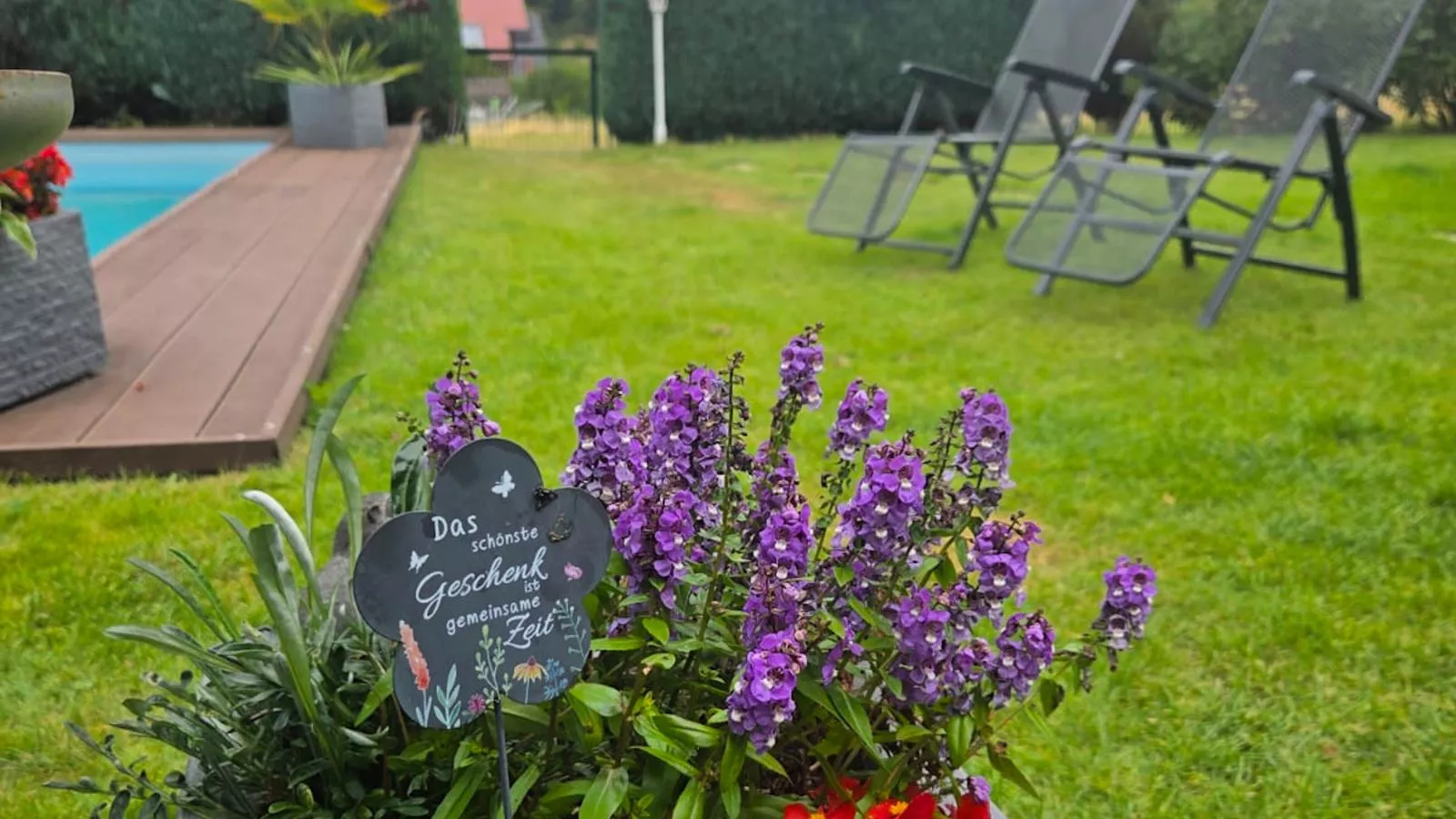 Alice-Jardins en été