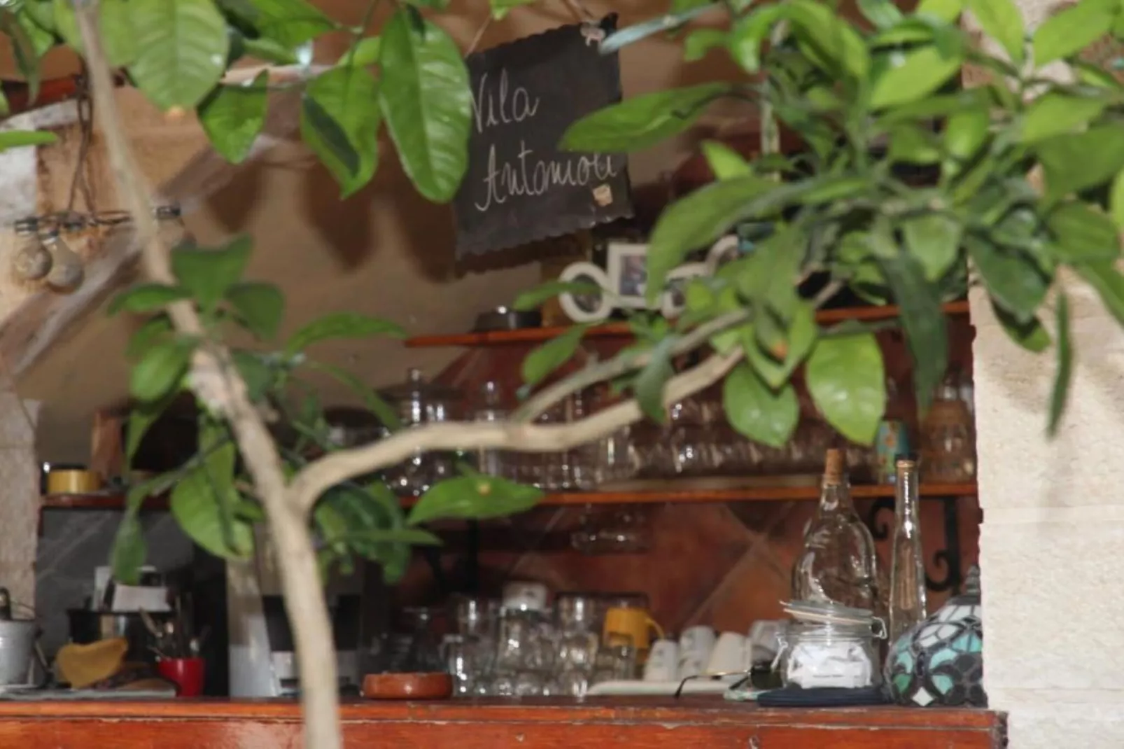 Quaint & Affordable Stay in Budva Traditional Stone House - Double Room 1-Gardens in summer