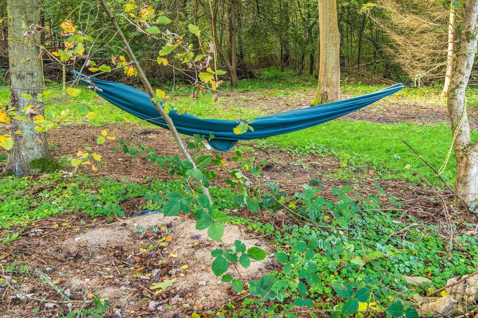 4 etoiles maison de vacances a Ry-Vue