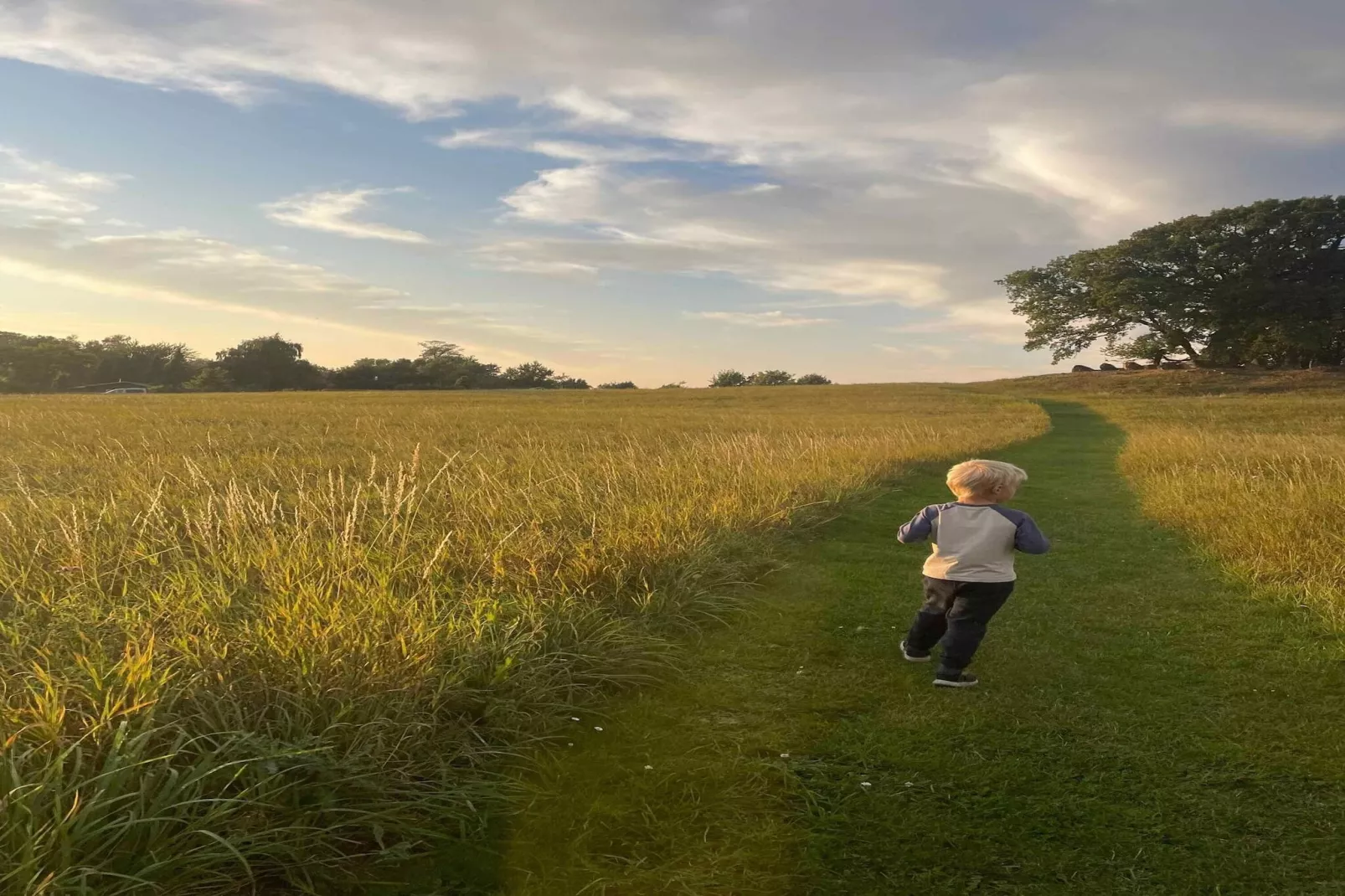 5 star holiday home in Vordingborg-Untagged