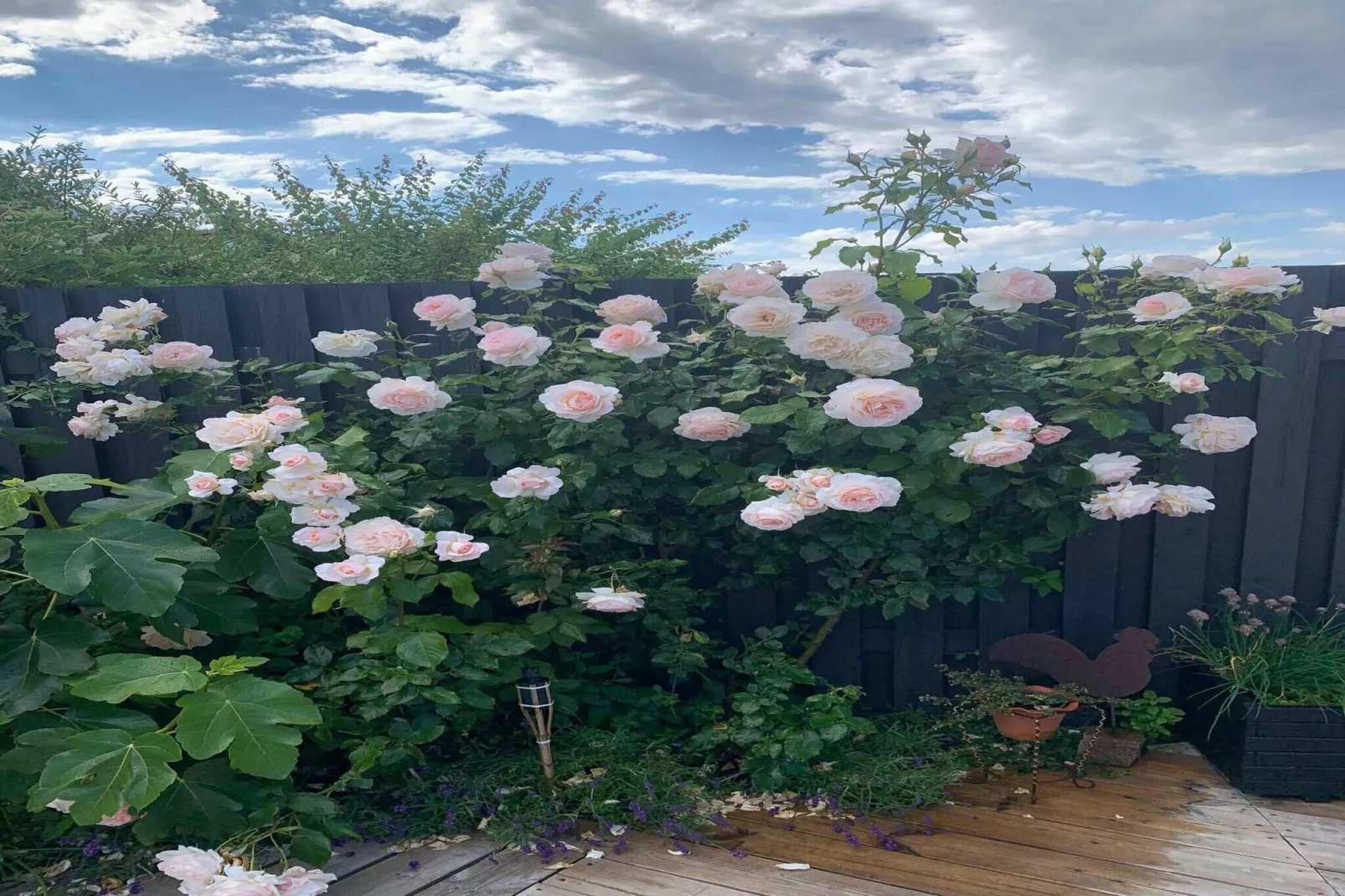 5 Sterne Ferienhaus in Otterup-Im Freien