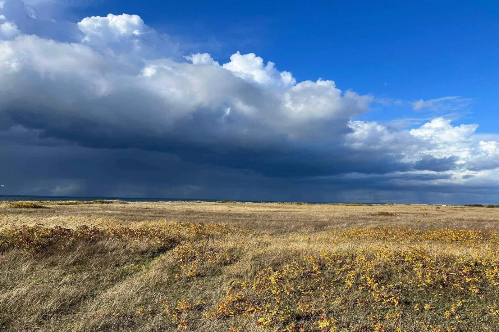 5 star holiday home in Tranekær-Outdoor