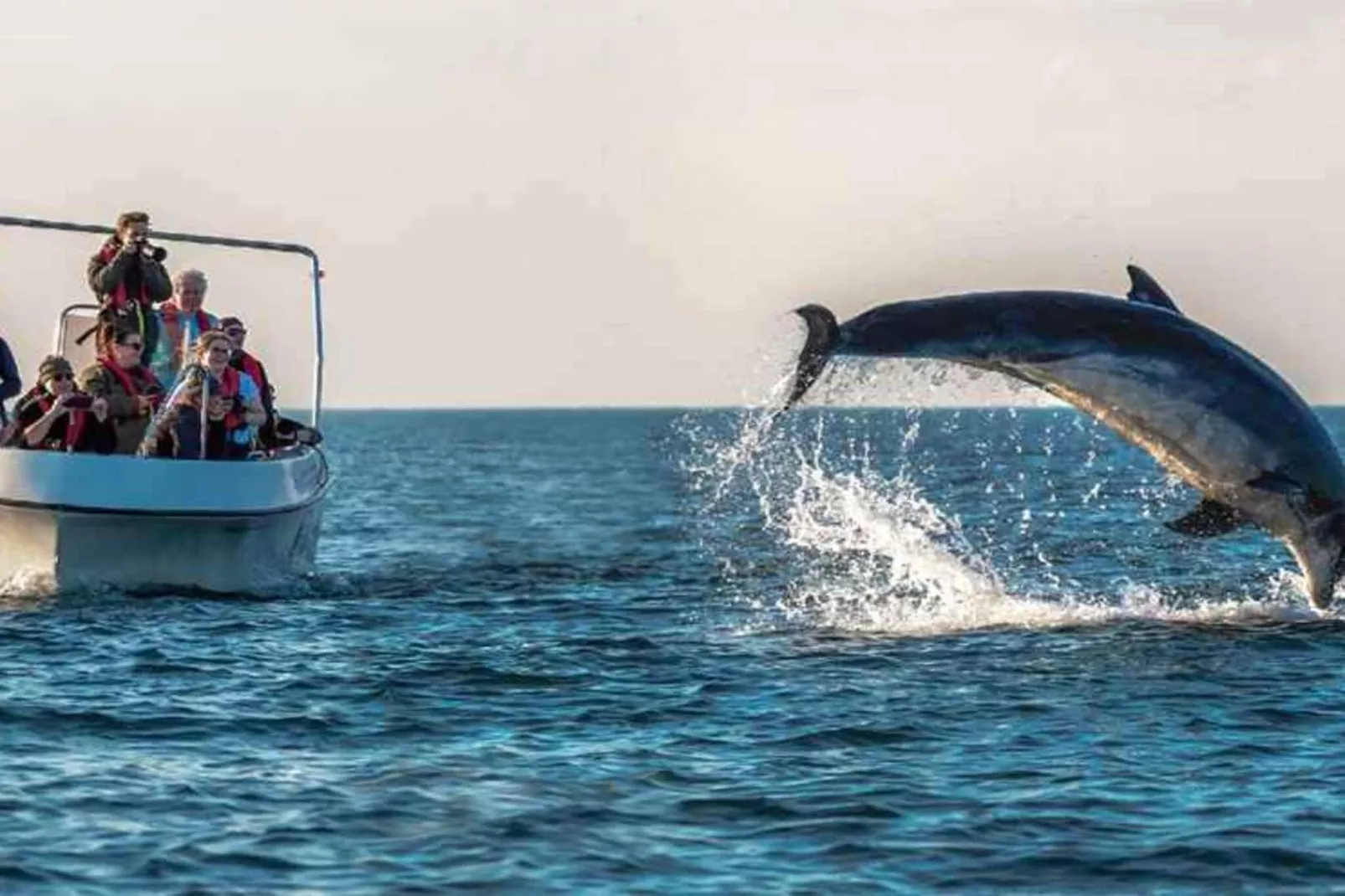 5 etoiles maison de vacances a Harboøre-Non tagué