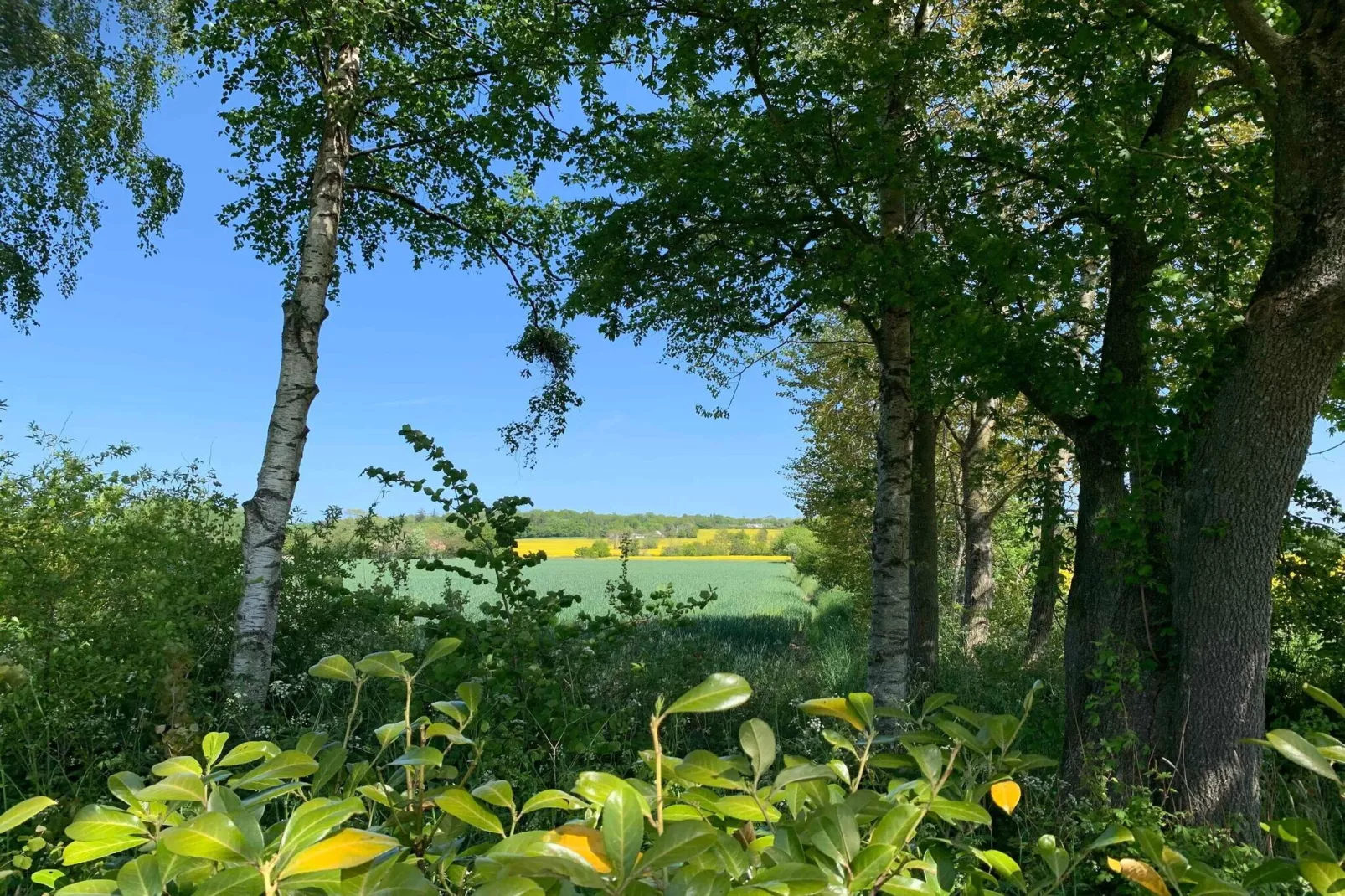 5 star holiday home in Nexø-Untagged