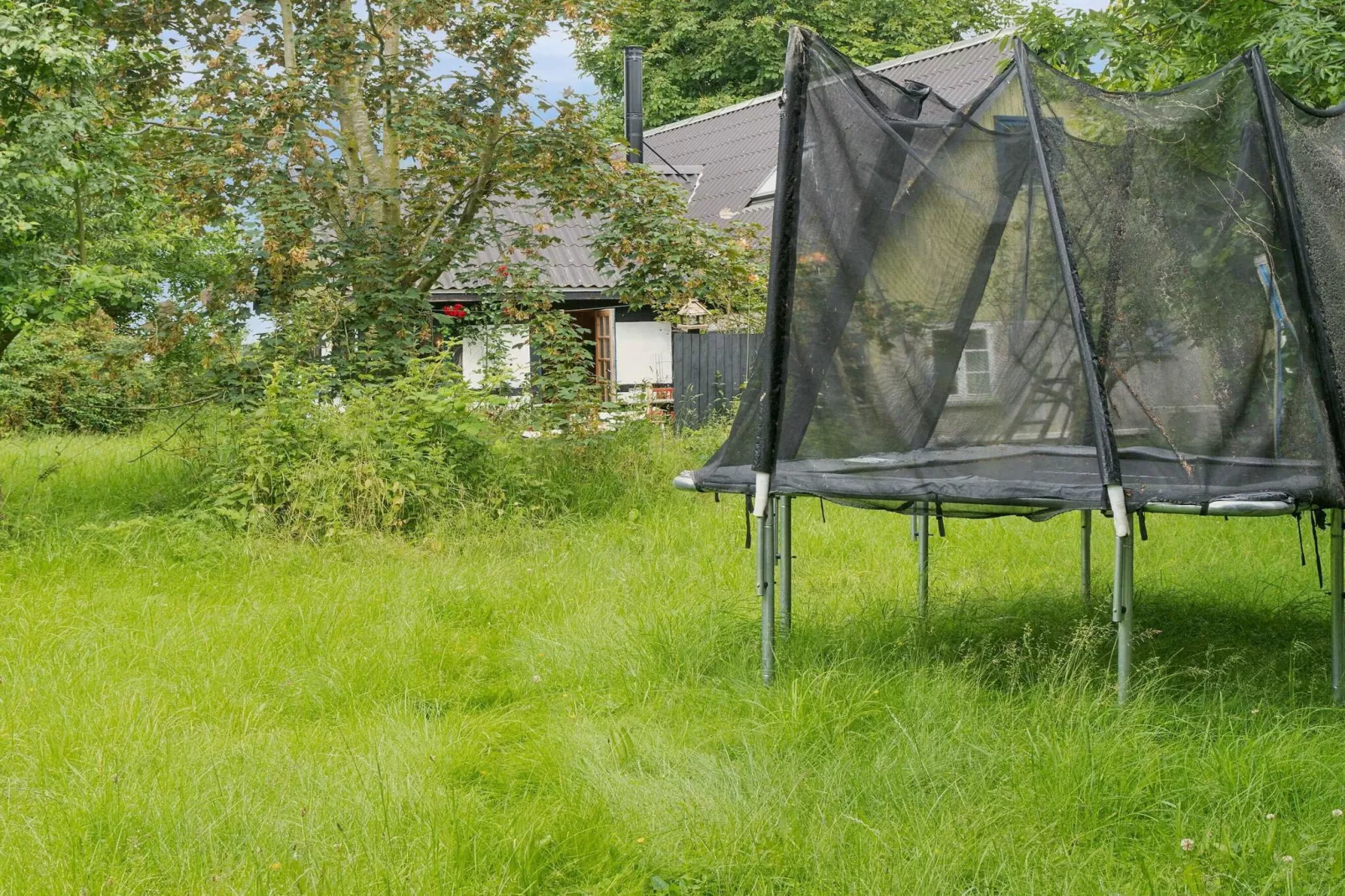 5 Sterne Ferienhaus in Vesterborg-Im Freien