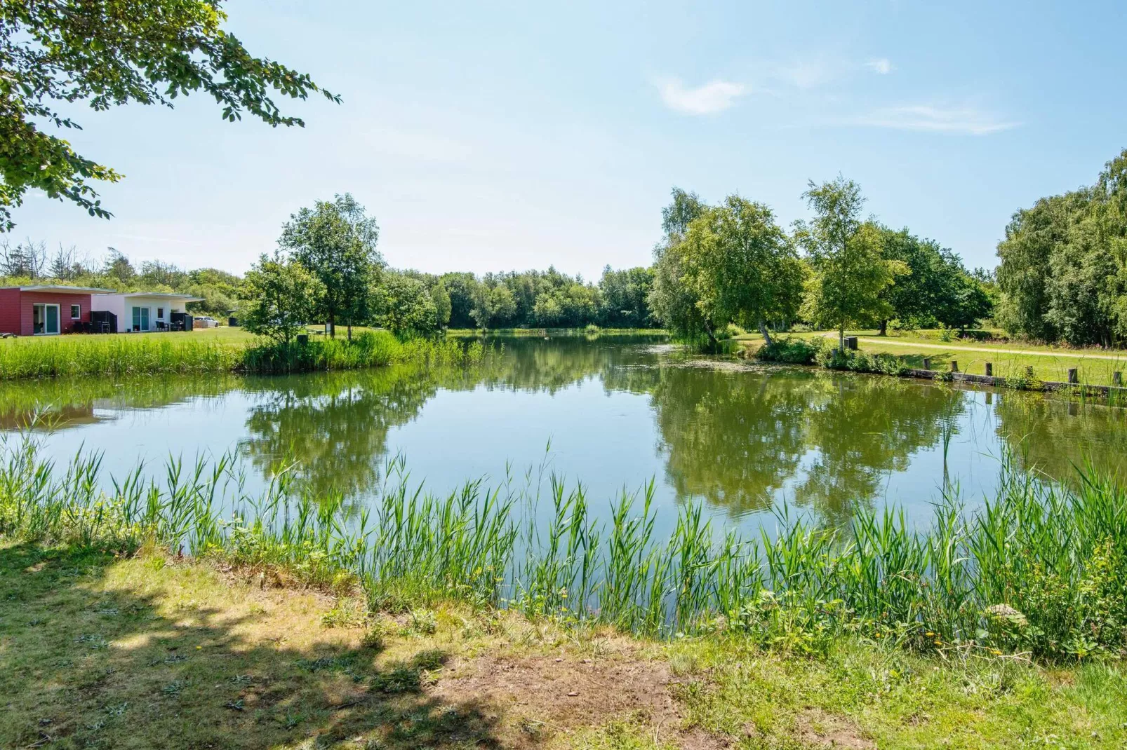 6 person holiday home in Ringkøbing-Untagged