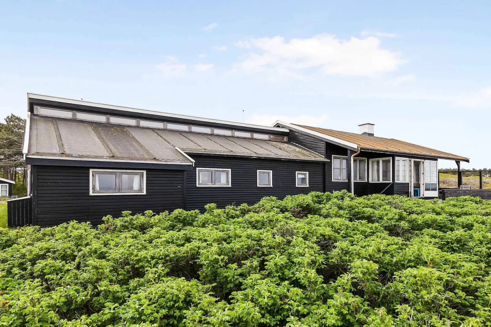 5 Sterne Ferienhaus in Rørvig-Im Freien