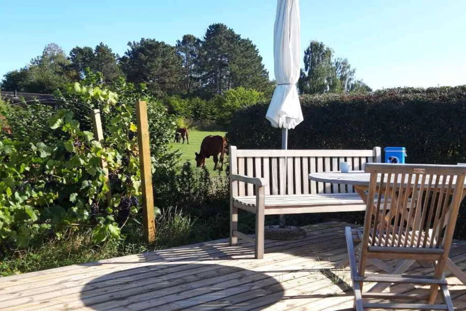 5 star holiday home in Kirke Hyllinge-Outdoor