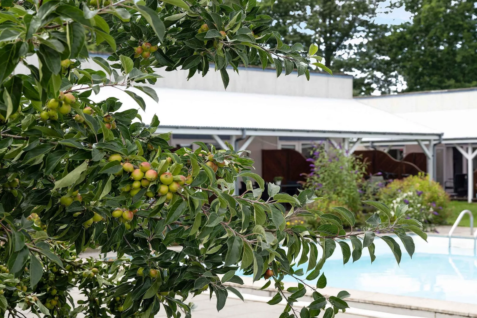 5 Sterne Ferienhaus in Nexø-Im Freien