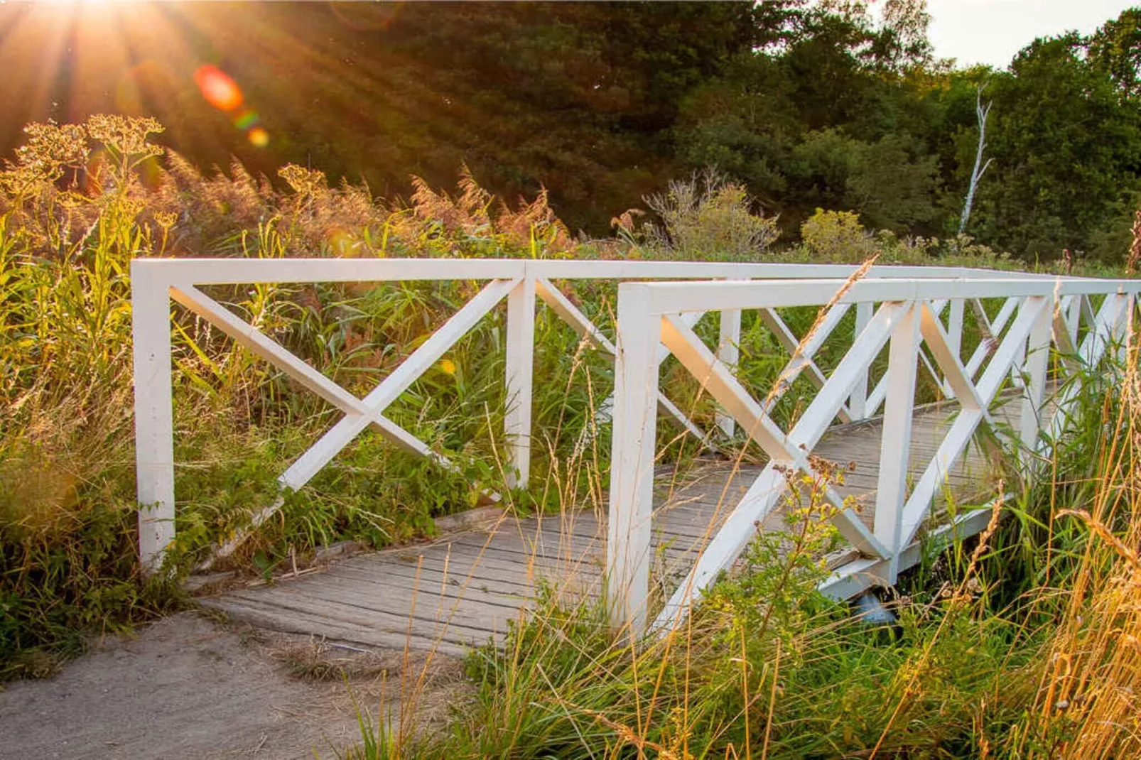 5 star holiday home in Store Fuglede-Outdoor