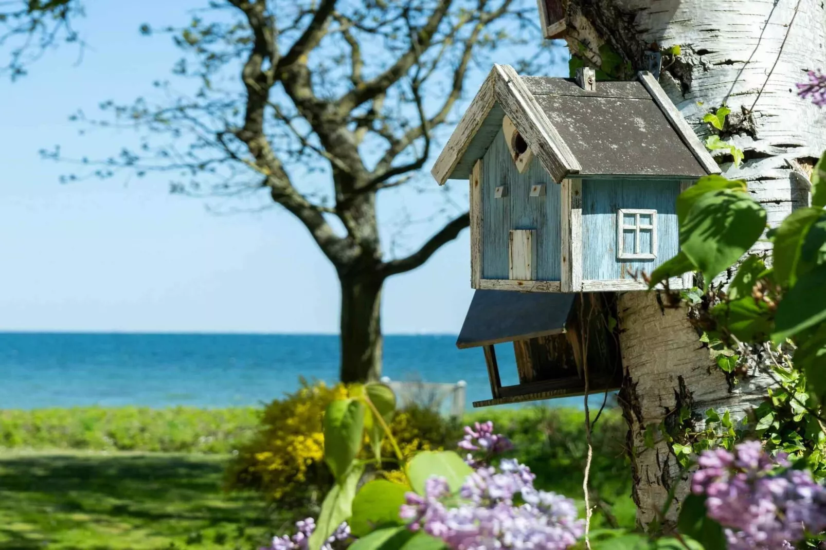 5 Sterne Ferienhaus in Tranekær-Im Freien