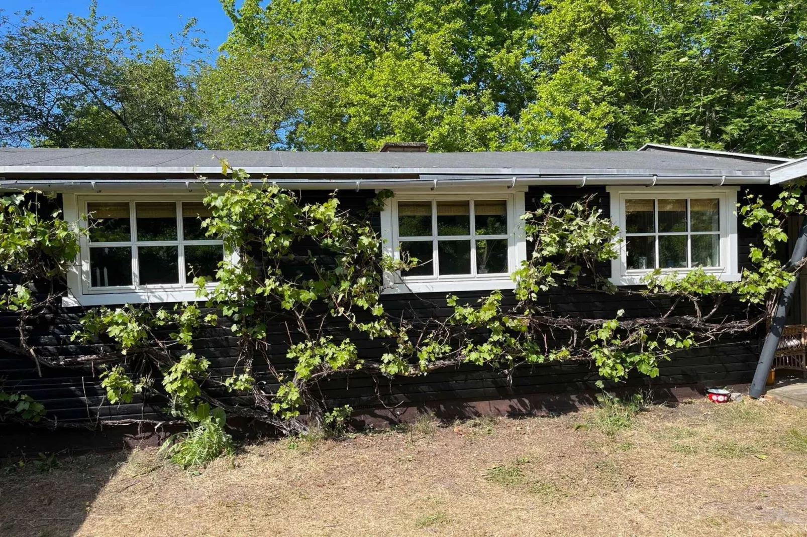 5 etoiles maison de vacances a Hasle-Extérieur