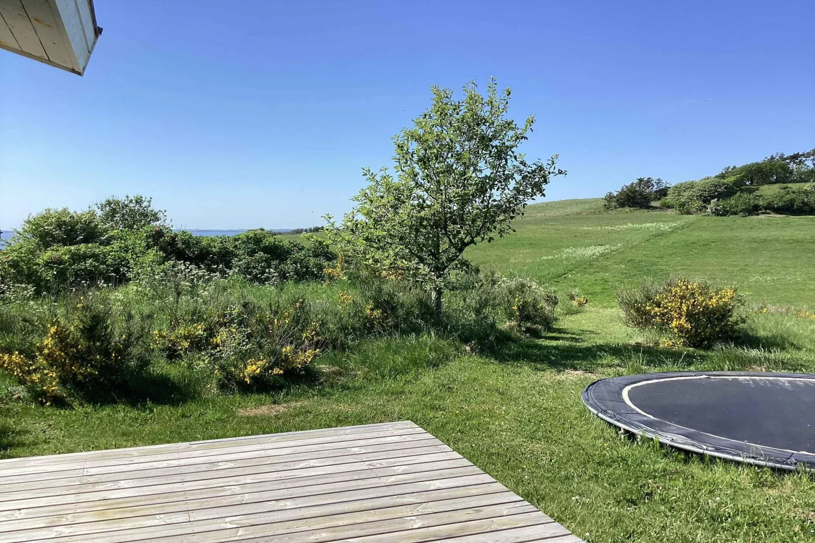 5 star holiday home in Spøttrup-Outdoor