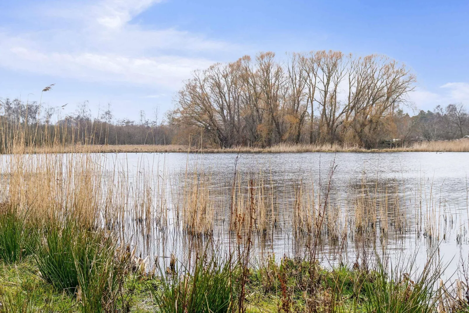 5 Sterne Ferienhaus in Jægerspris-Wasserblick