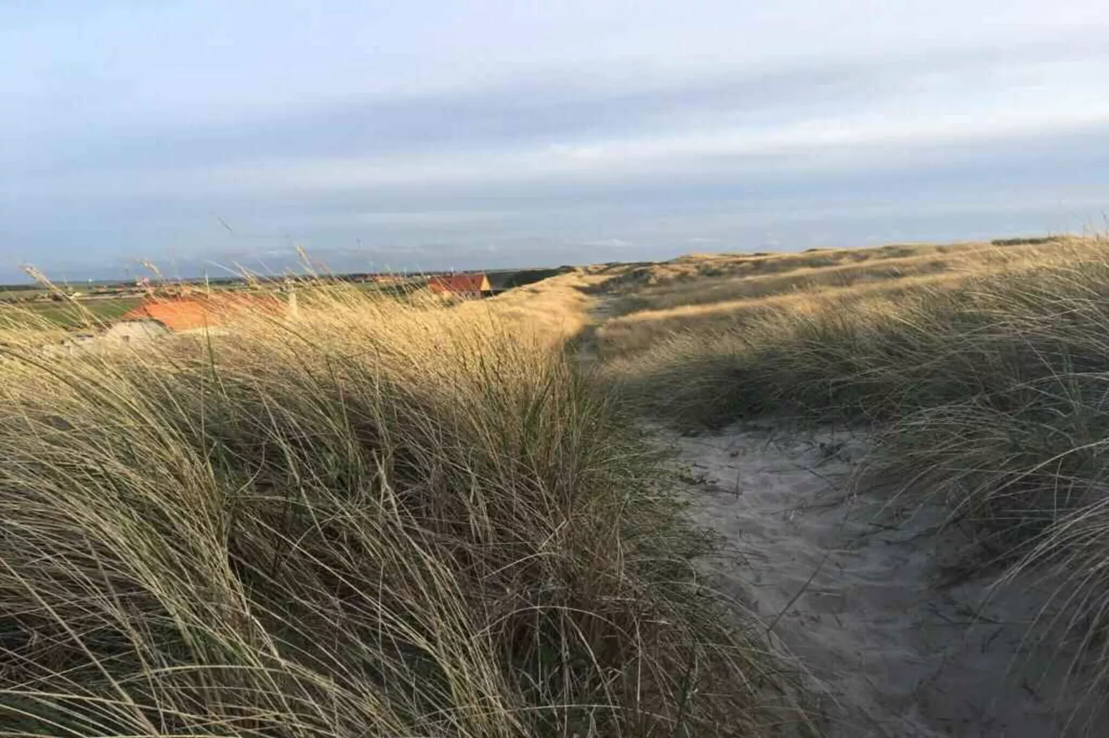 5 star holiday home in Harboøre-Outdoor