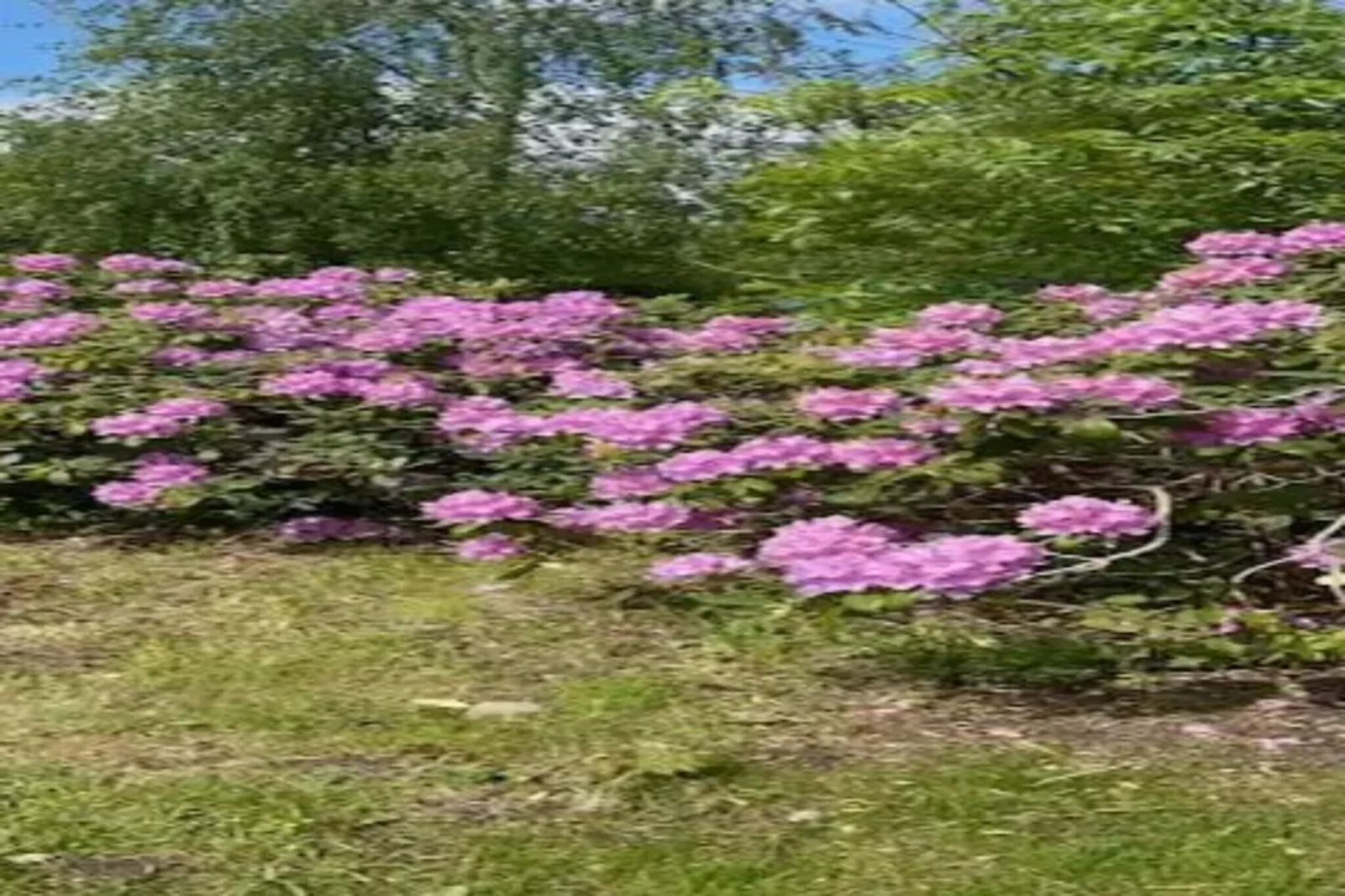 5 etoiles maison de vacances a Dronningmølle-Non tagué