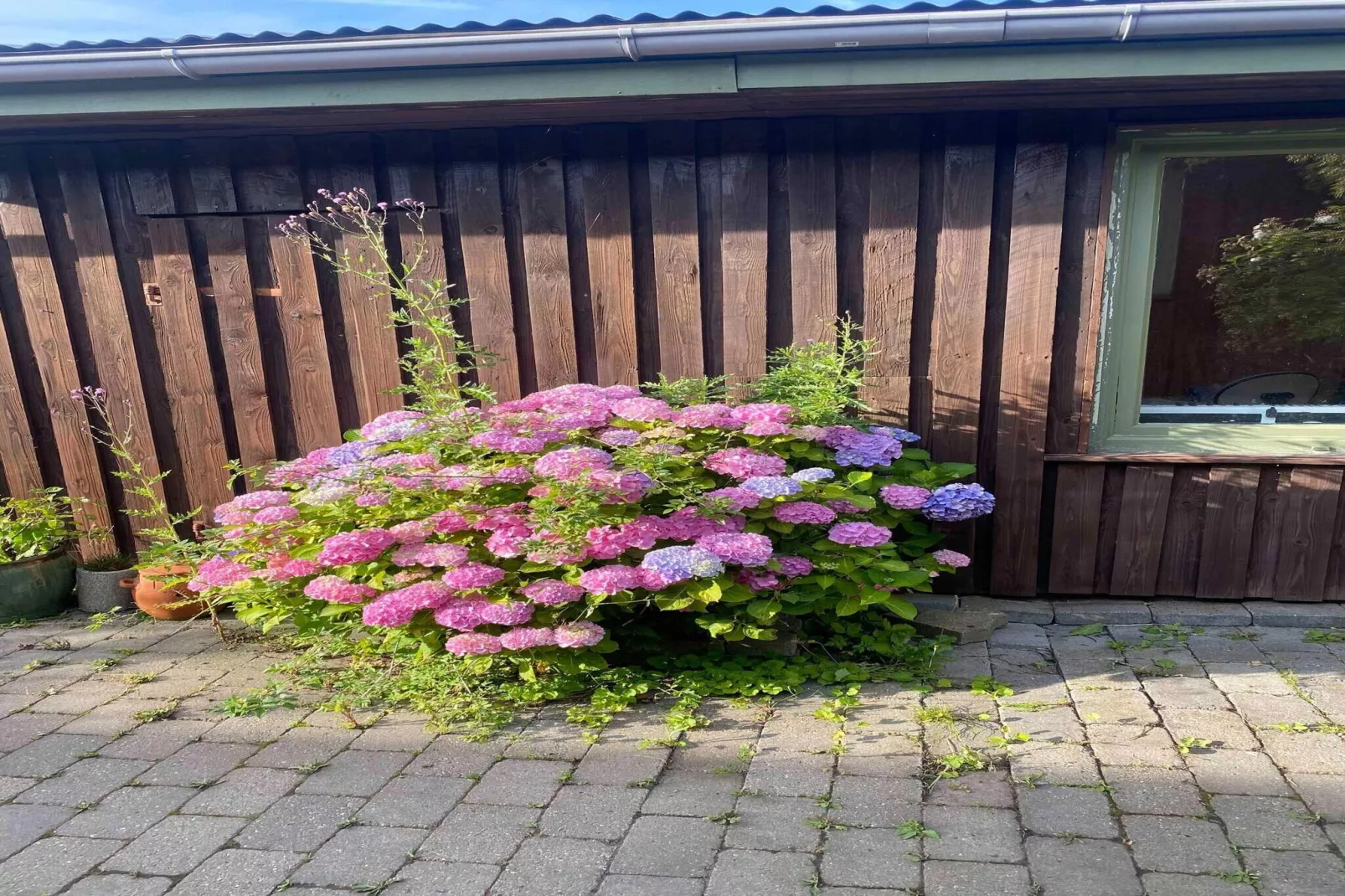 5 etoiles maison de vacances a Fårevejle-Extérieur