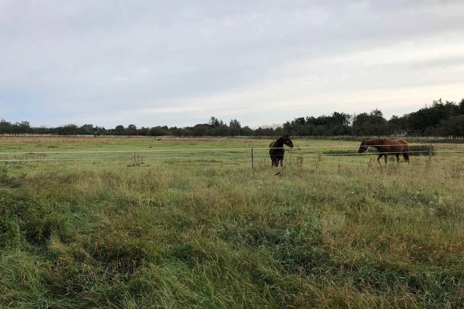 4 star holiday home in Hadsund-Outdoor