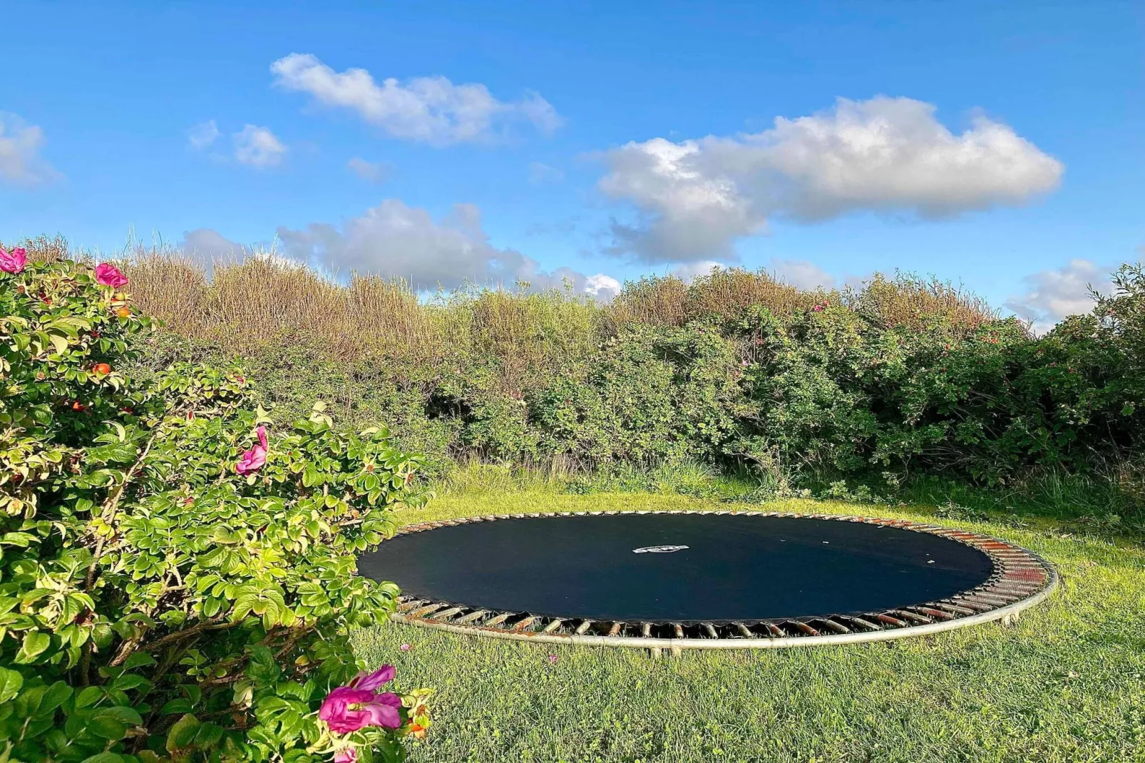 5 etoiles maison de vacances a Lemvig-Non tagué