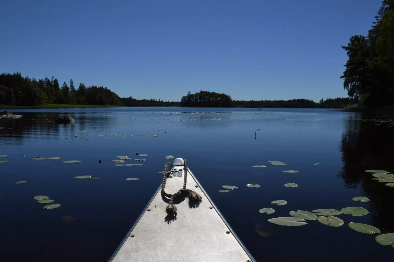 Escapade confortable près de la forêt et du lac-Extérieur