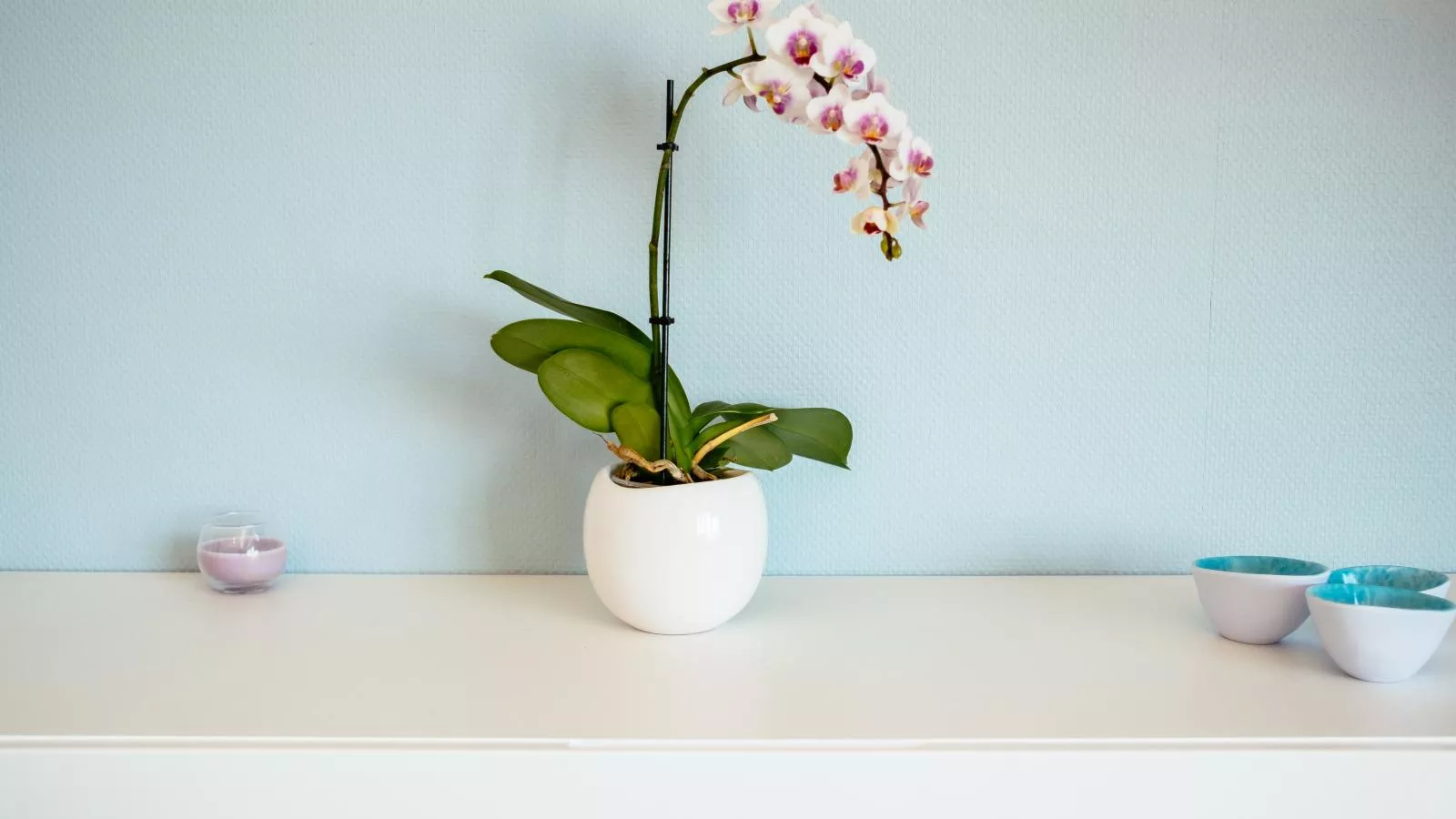 La Plage cinq-Cuisine