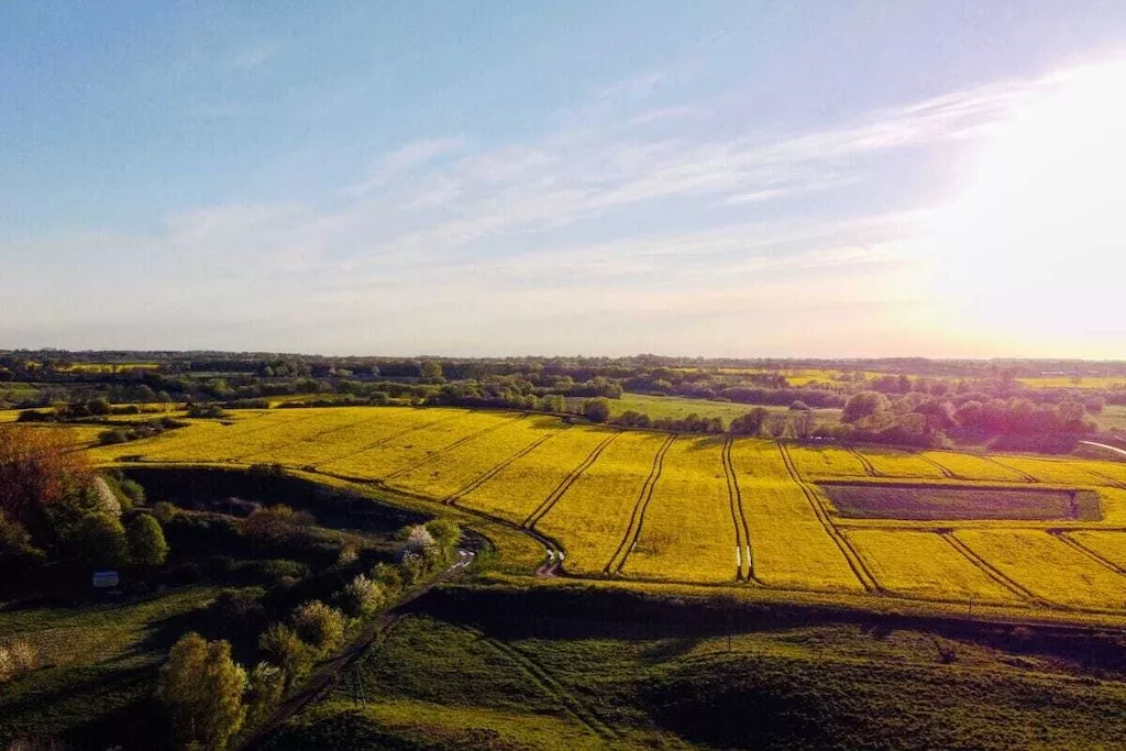 516982-Nicht zugeordnet