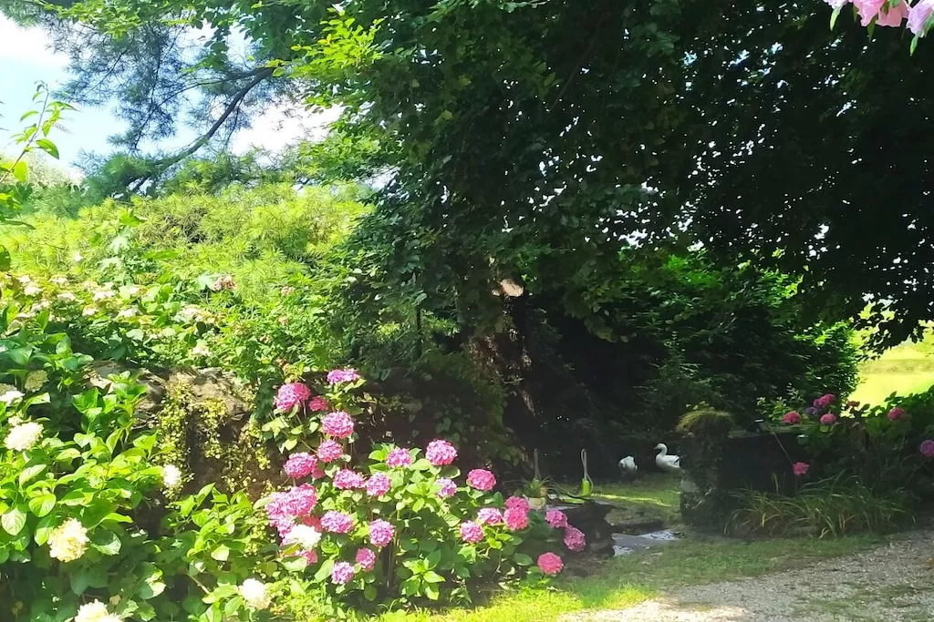 544924-Nicht zugeordnet