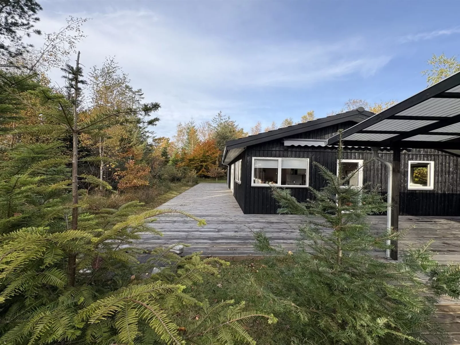 "Amitola" - 800m from the sea-Dehors