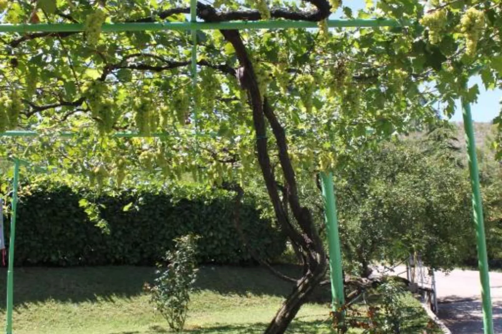 Triple room 2-Outdoor