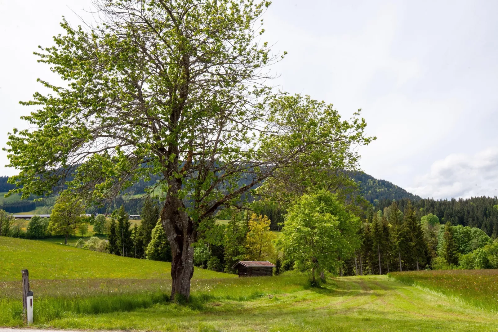 Apartment Schlögl-Gardens in summer