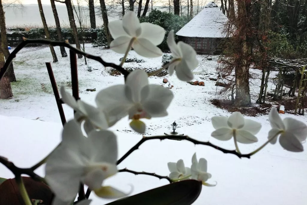 134643-Nicht zugeordnet