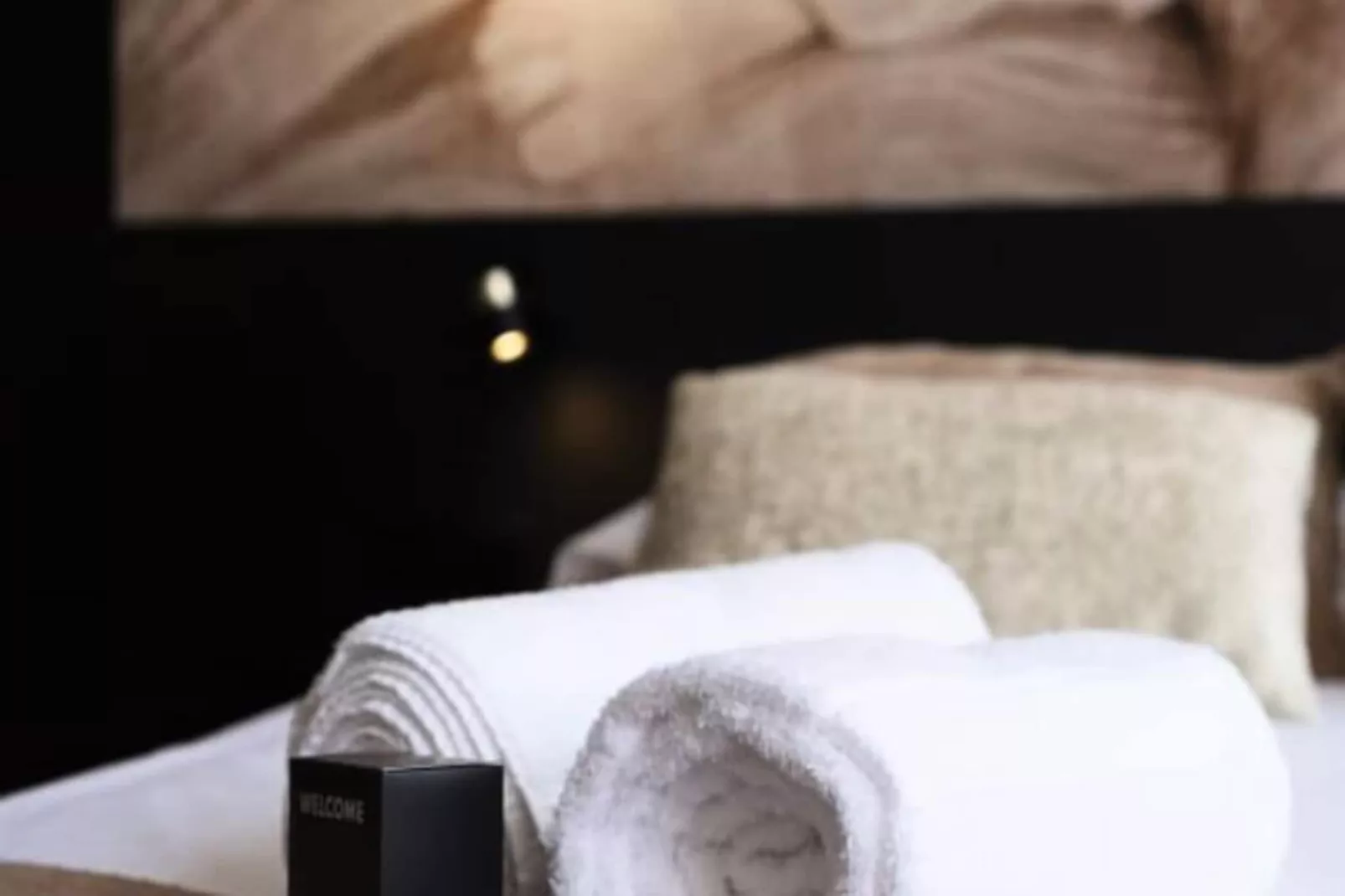 Les Perchoirs De Stanislas 2 - Logement De Standing Hyper Centre-Nicht zugeordnet