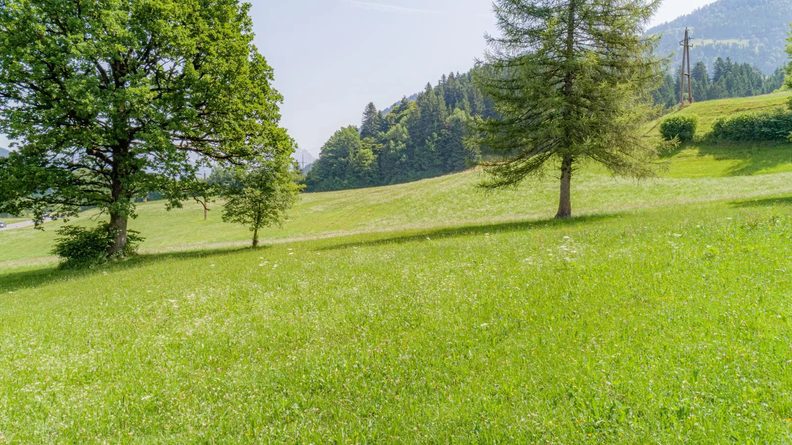 Klein Hintermühltalhof-View summer