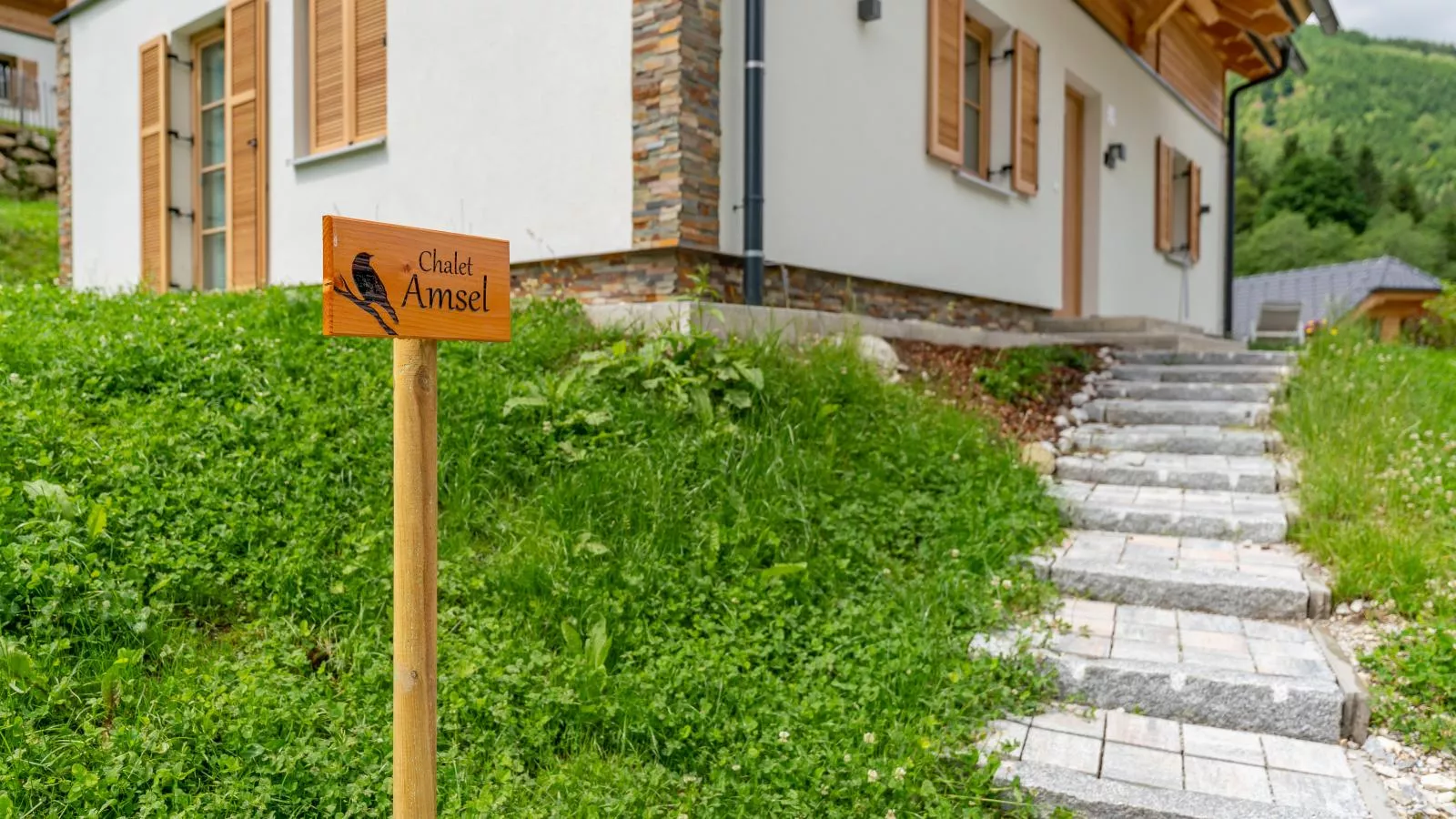 Chalet Amsel-Exterior summer