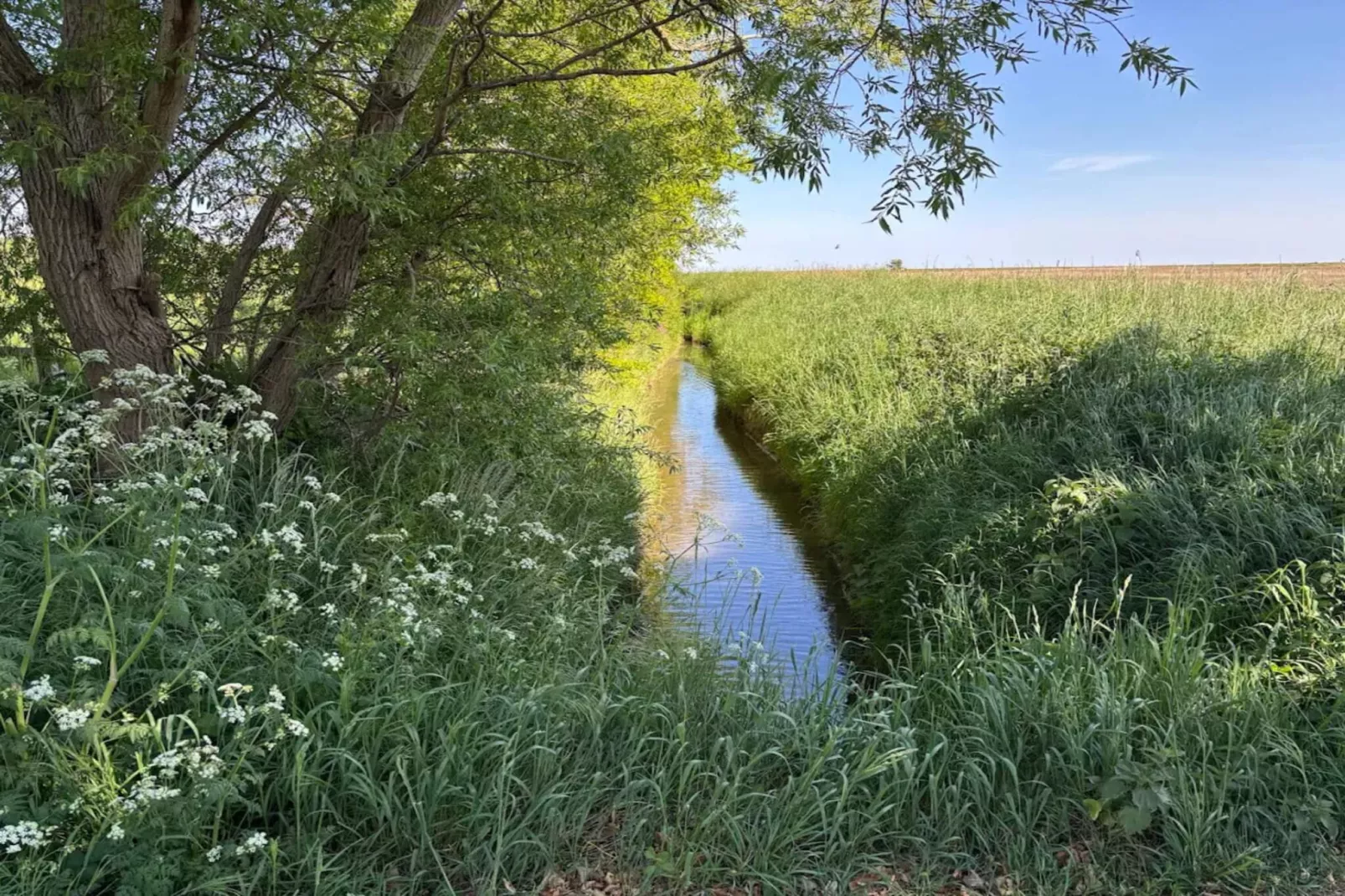Maison de vacances pour 8 a Sydals-Non tagué