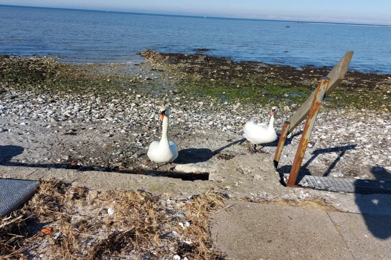 4 person holiday home in Bogense-Water view