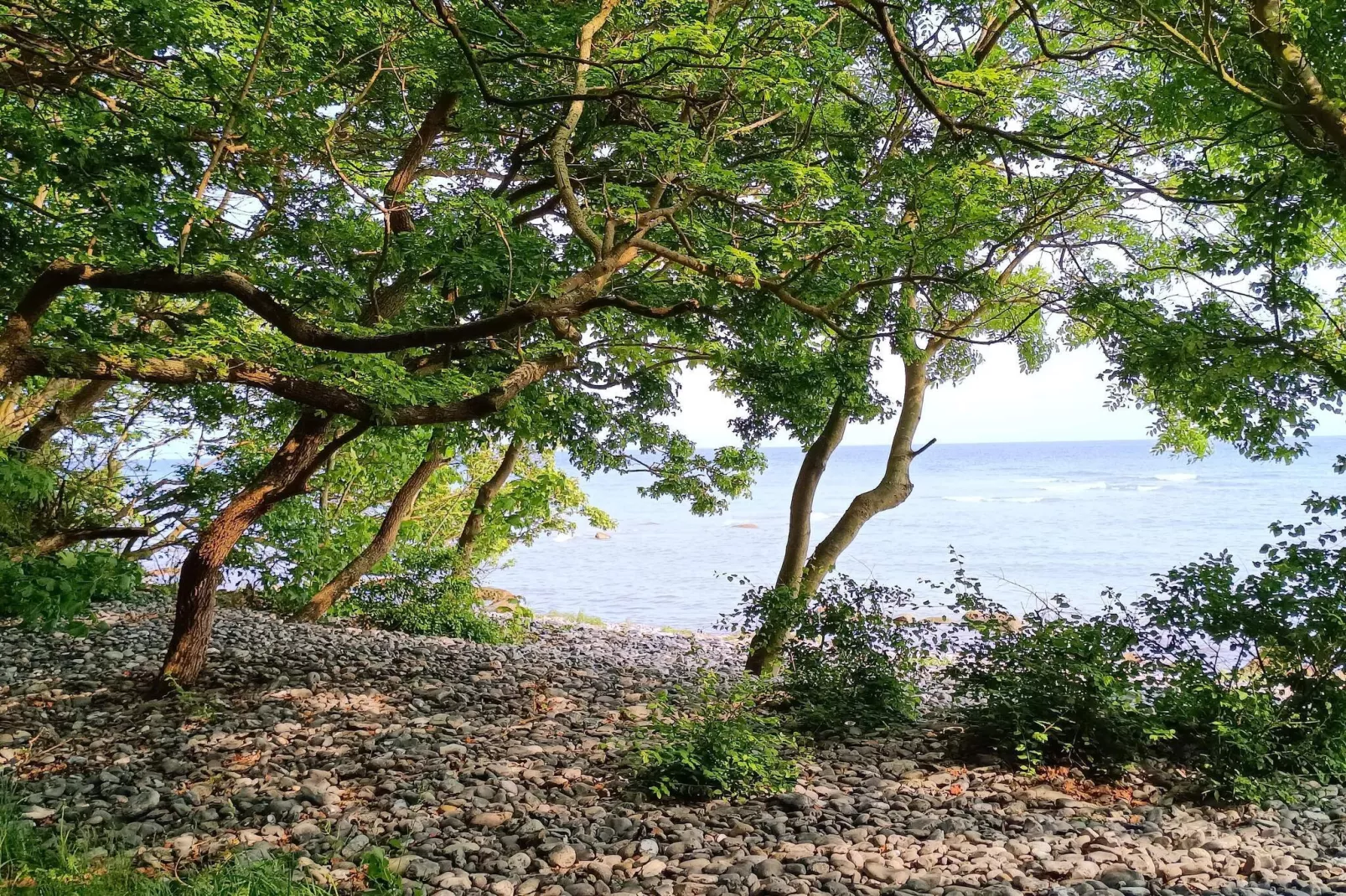 Maison de vacances pour 4 a Borre-Vue sur l'eau