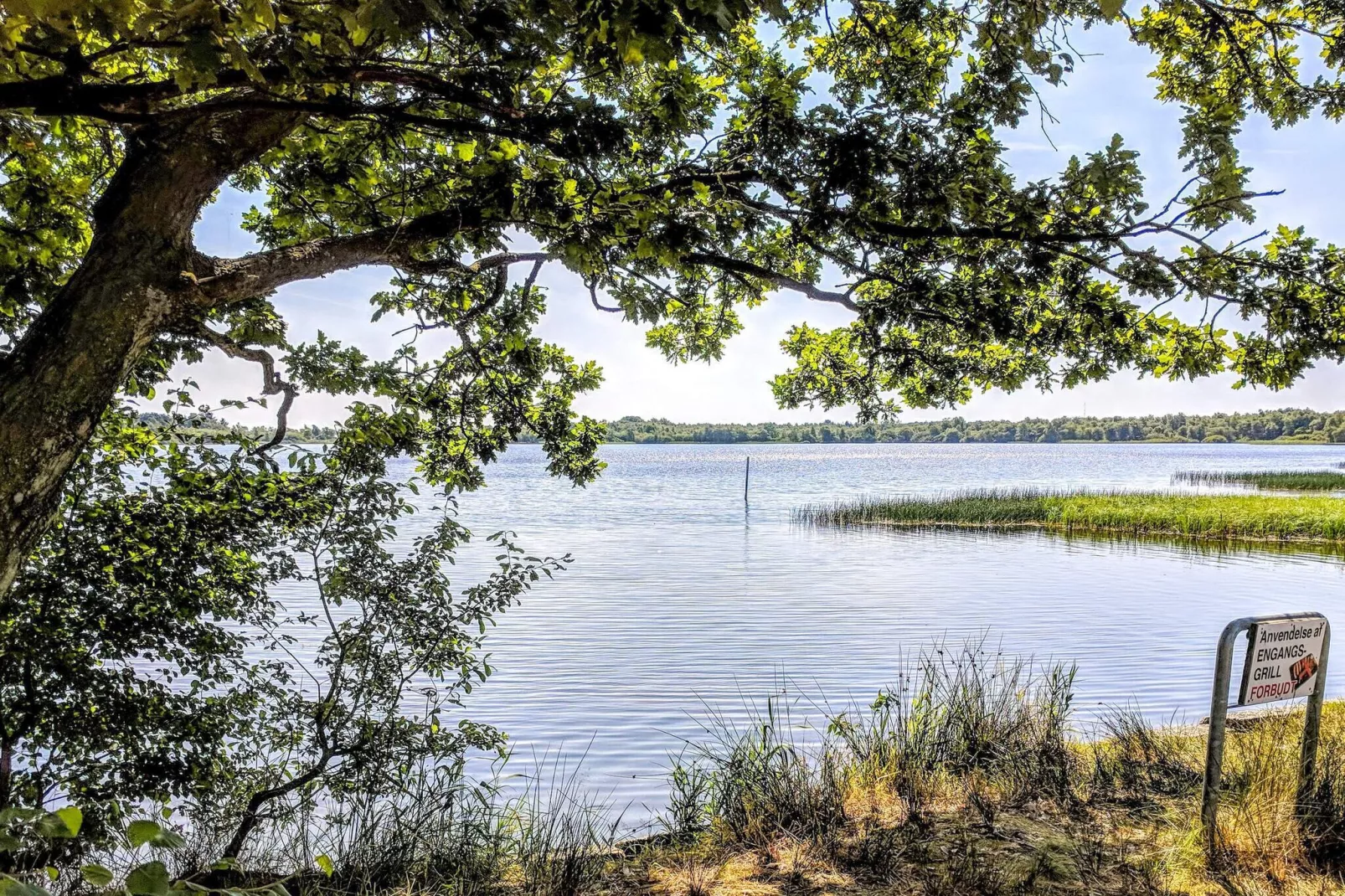 Maison de vacances pour 6 a Ansager