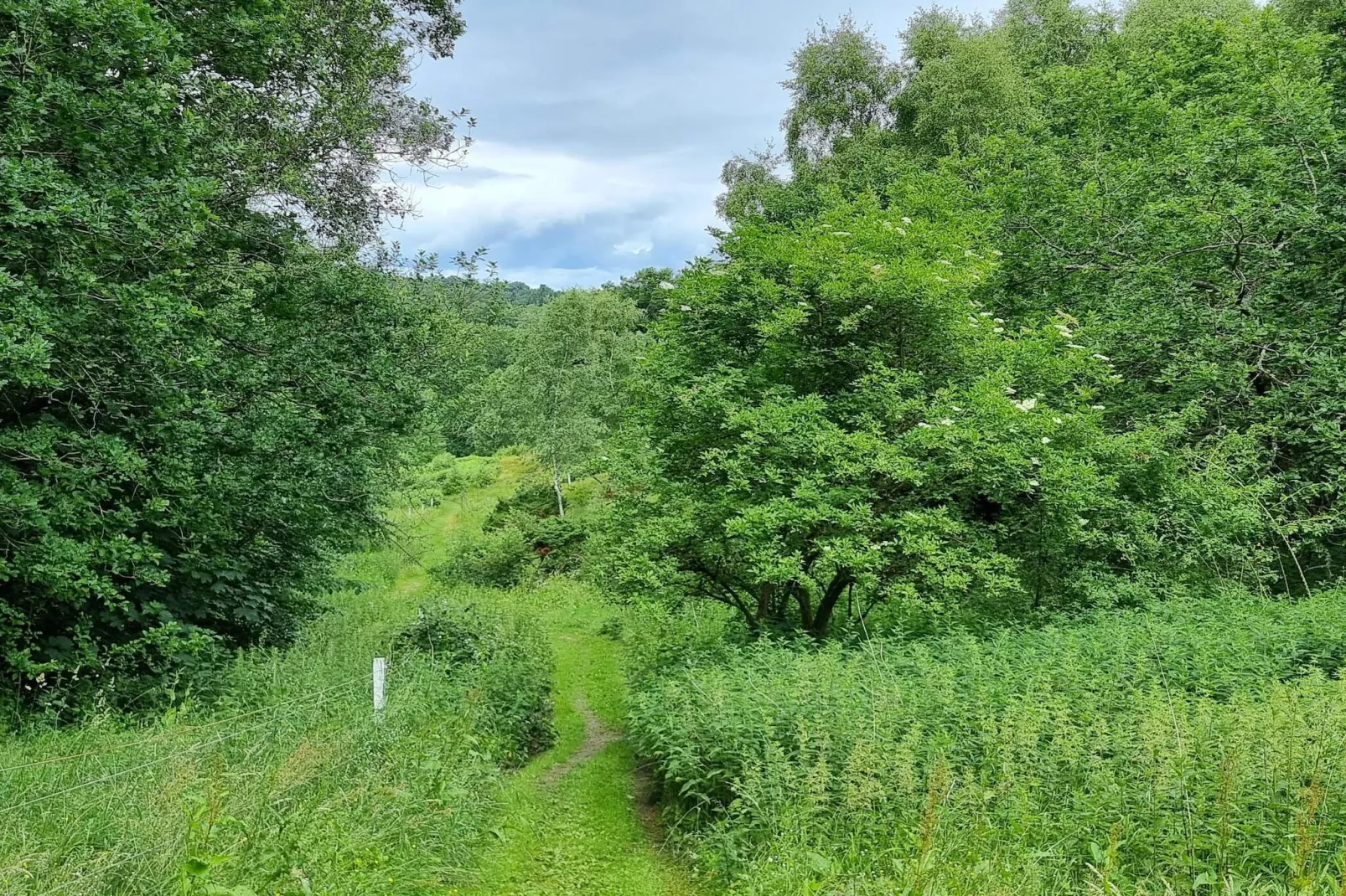 Maison de vacances pour 8 a Gjern-Non tagué
