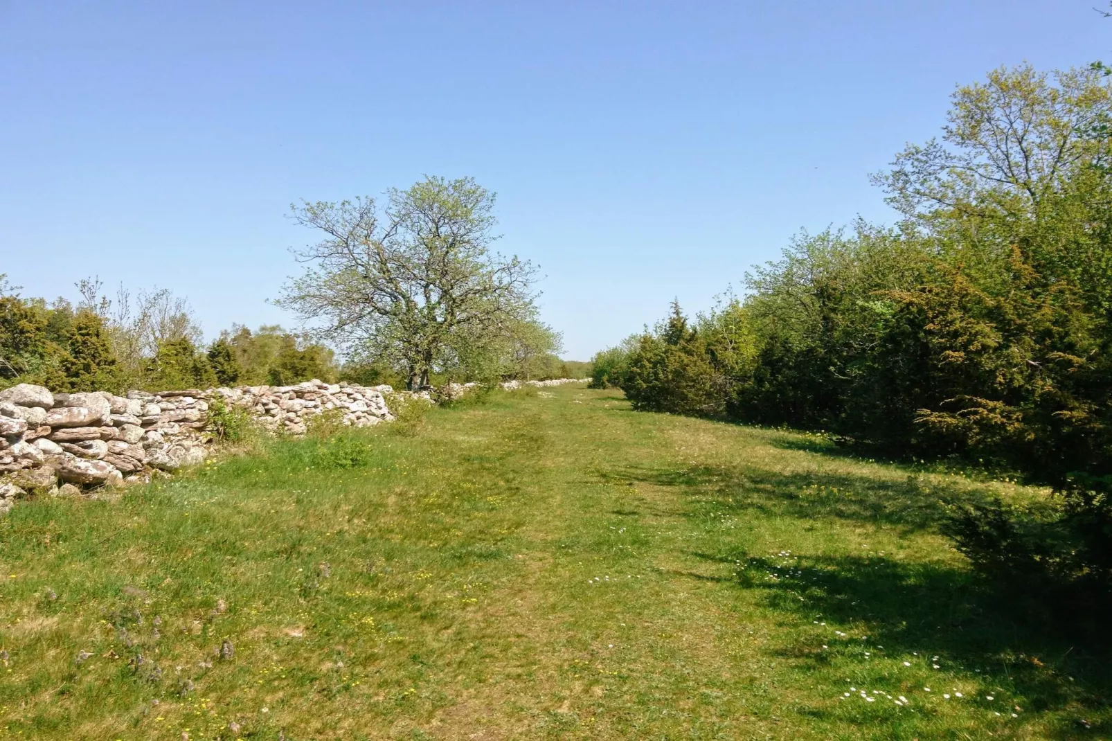 10 person holiday home in FÄRJESTADEN-Untagged